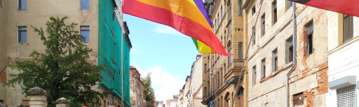 CSD in Altenburg, Menschen mit Regenbogenflaggen von hinten