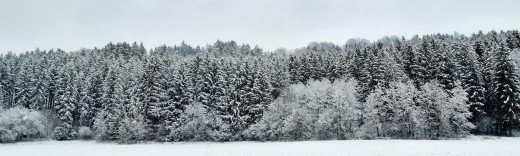 Eine Winterland