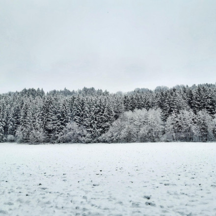 Eine Winterland