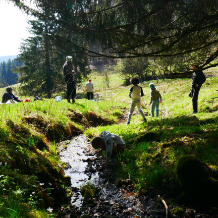 Ein Bild in der Natur, ein Bach, einige Kinder und Jugendliche